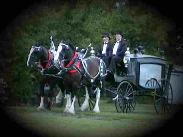 19th century horse-drawn hearse. Click to go to Funeral Services Page