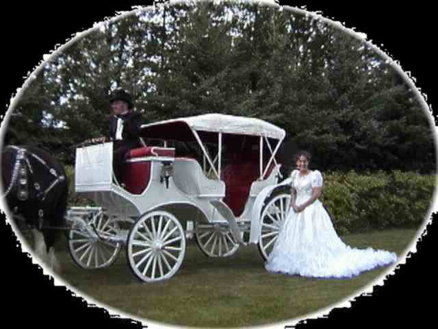Wedding carriage with top up!