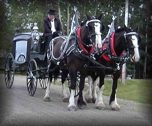19th century horse drawn hearse. Right view.